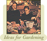 Ideas For Gardening