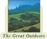 The Great Outdoors